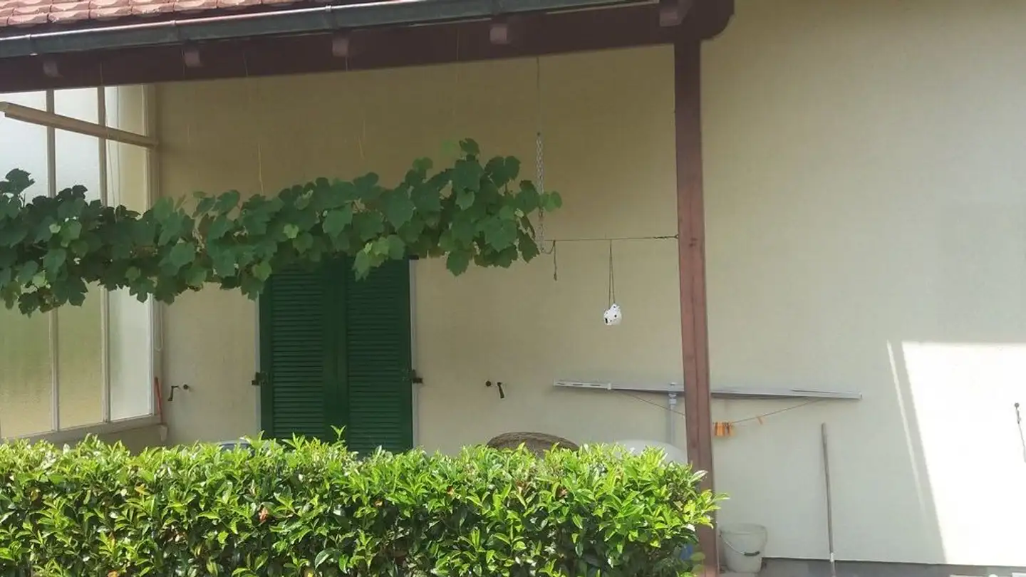 Single house for rent - Lochmattweg 28, 5033 Buchs AG - Photo 3