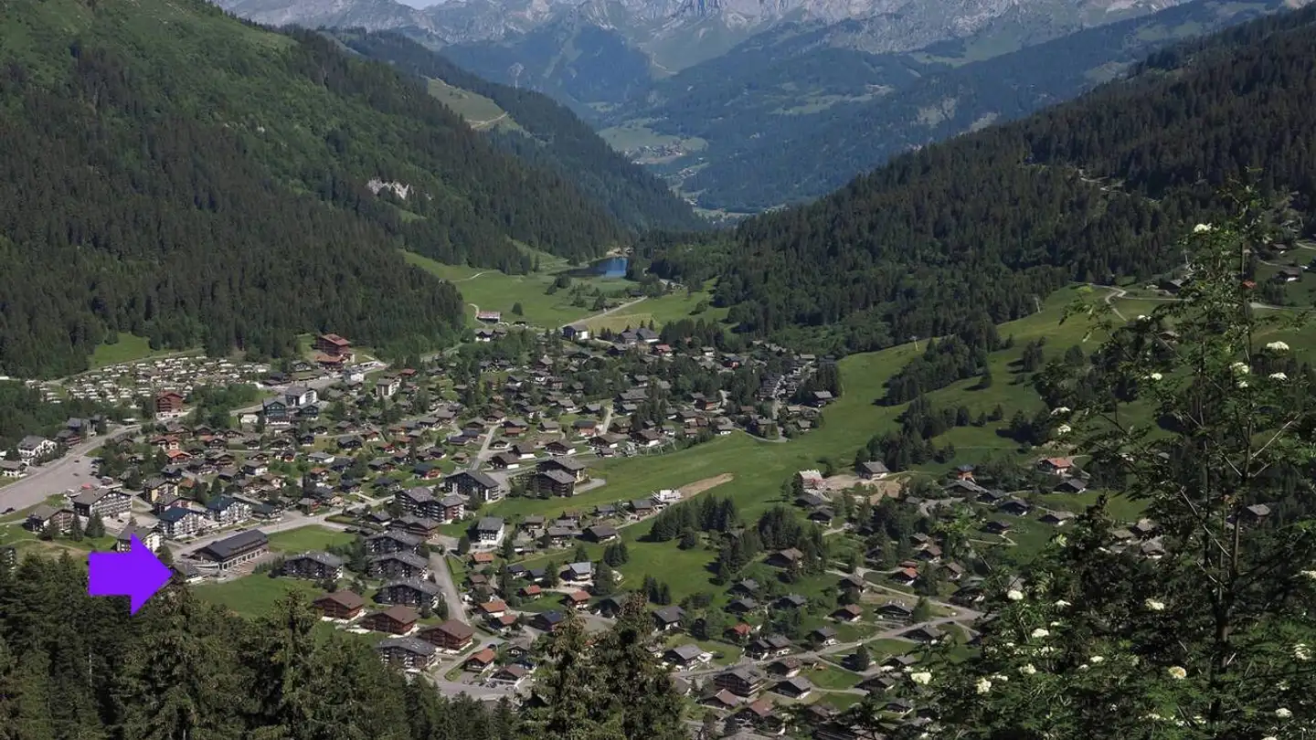 Appartamento in vendita - Route de Morgins, 1872 Troistorrents - Photo 4