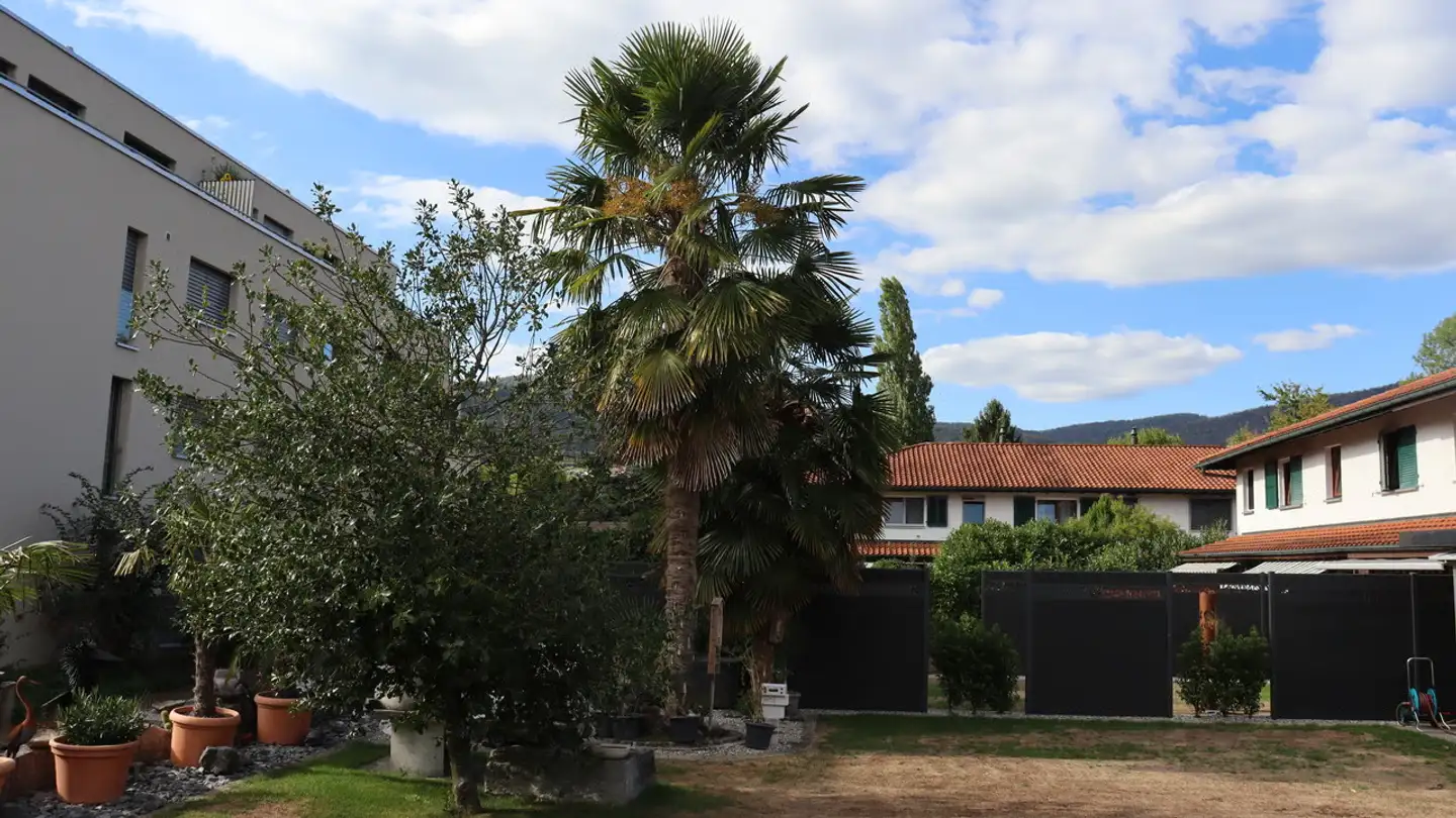 Casa a schiera in vendita - 4616 Kappel SO - Foto 2