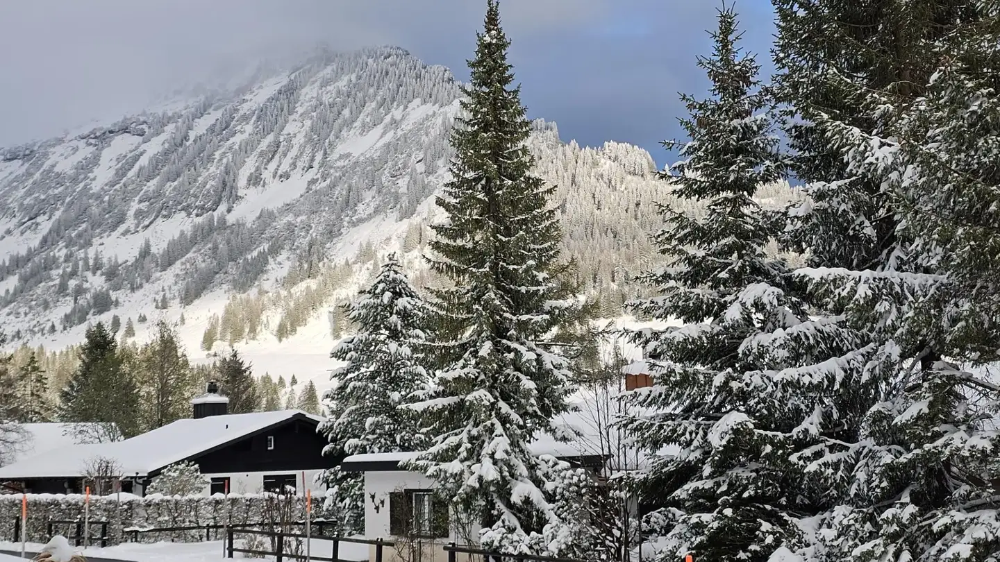 Appartement à vendre - 8873 Amden - Photo 2