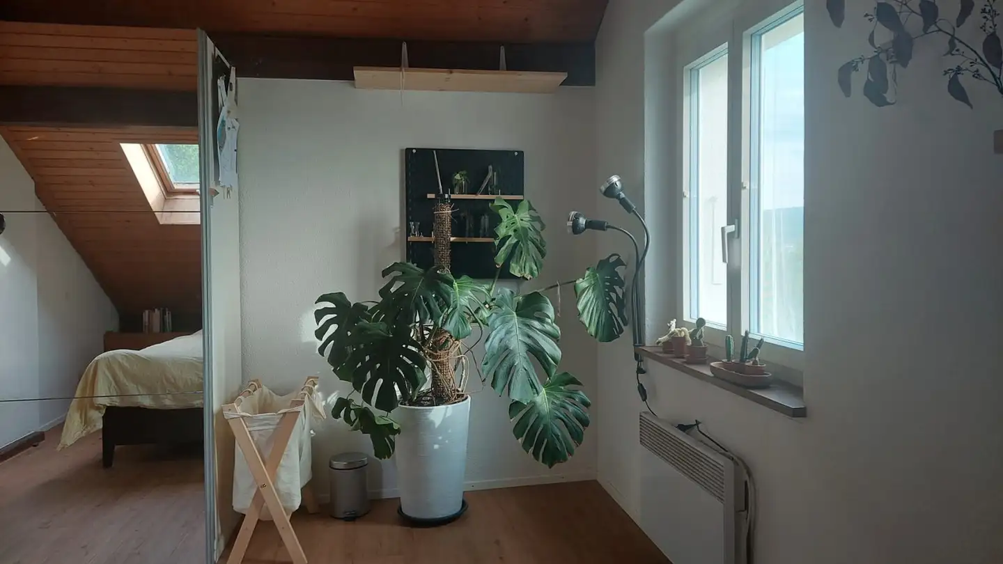 Stanza singola in affitto - 5504 Othmarsingen - Photo 3