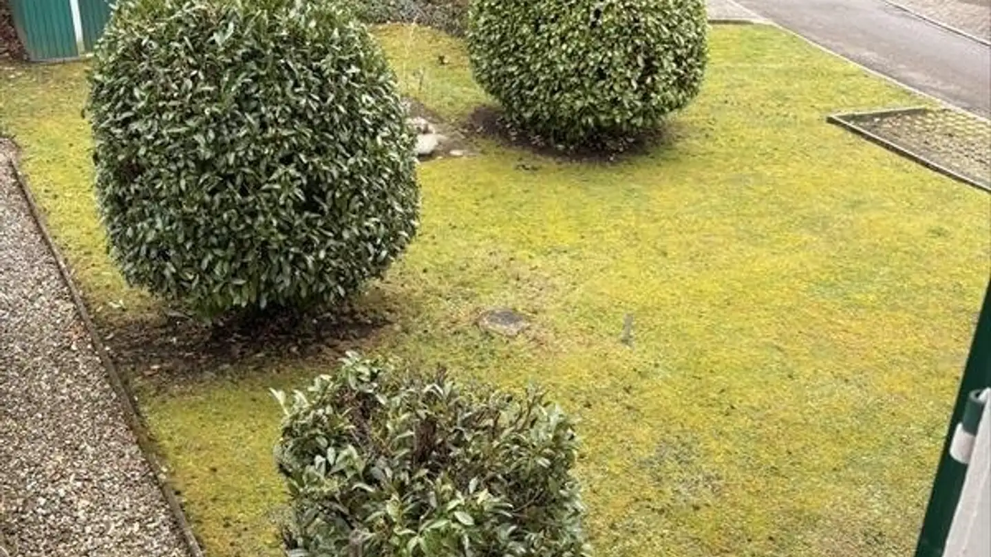 Appartement à louer - Guschweg 8, 8618 Oetwil am See - Photo 2