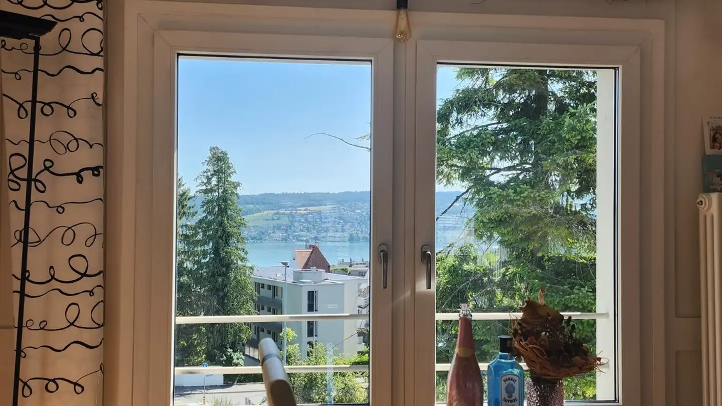 Möblierte Wohnung mieten - 8800 Thalwil