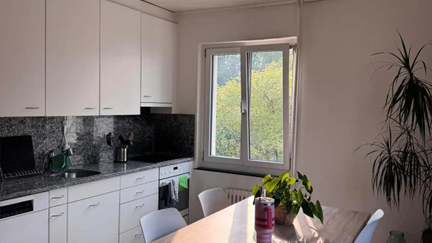 Möblierte Wohnung mieten - Zürcherstrasse 84, 8952 Schlieren - Foto 2