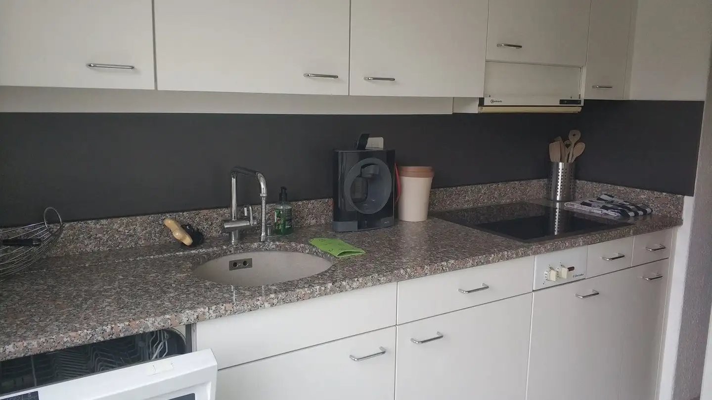 Appartamento in affitto - Blümlisalpstrasse 31, 3600 Thun - Foto 3