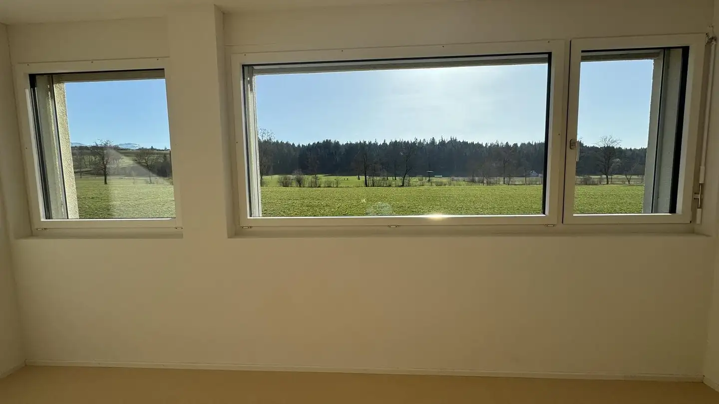 Commercial for rent - Hellbühlerstrasse 38, 6017 Ruswil - Photo 4