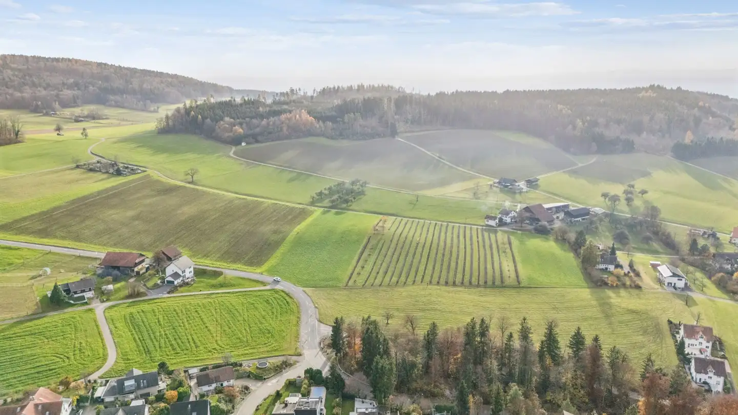 Einfamilienhaus kaufen - Buecheneggstrasse, 8906 Bonstetten - Foto 2