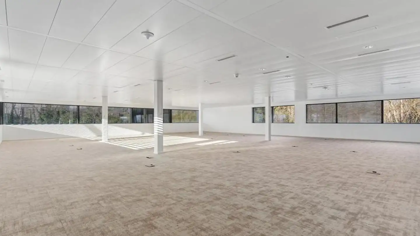 Bürofläche mieten - 1262 Eysins - Foto 4
