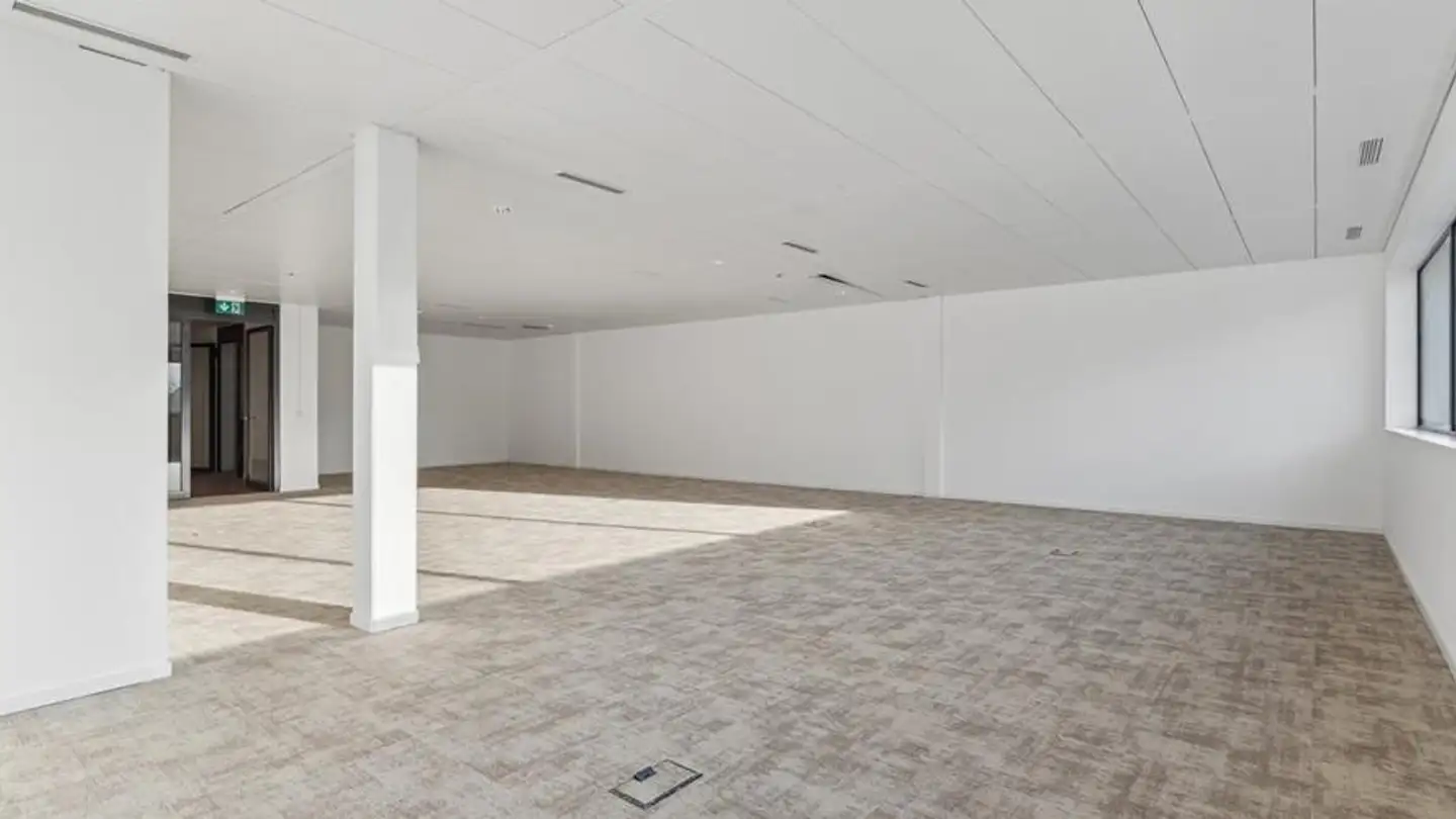 Bürofläche mieten - 1262 Eysins