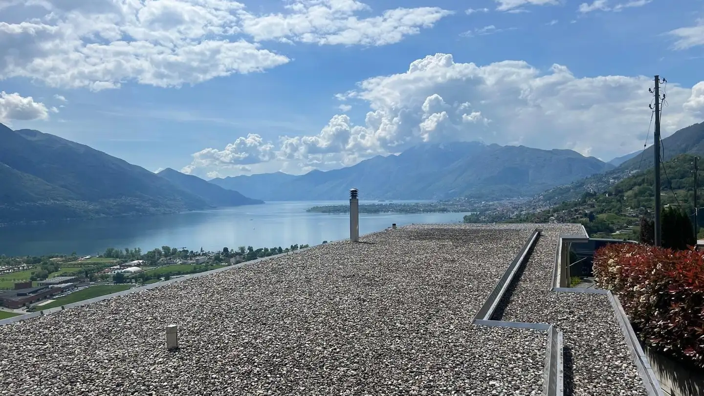 Fattoria in vendita - Via Sasso Misocco, 6596 Gordola - Photo 2