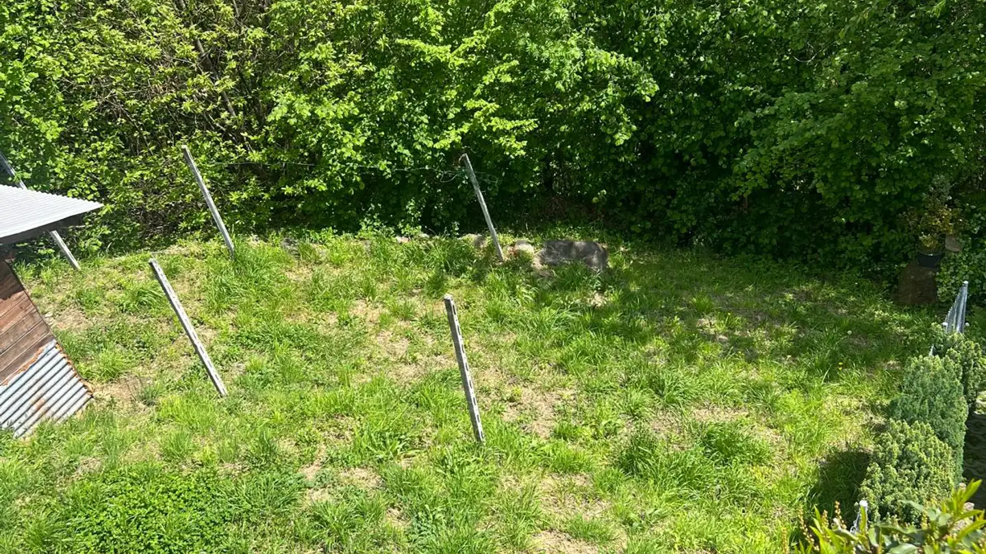 Fattoria in vendita - Via Sasso Misocco, 6596 Gordola - Photo 3