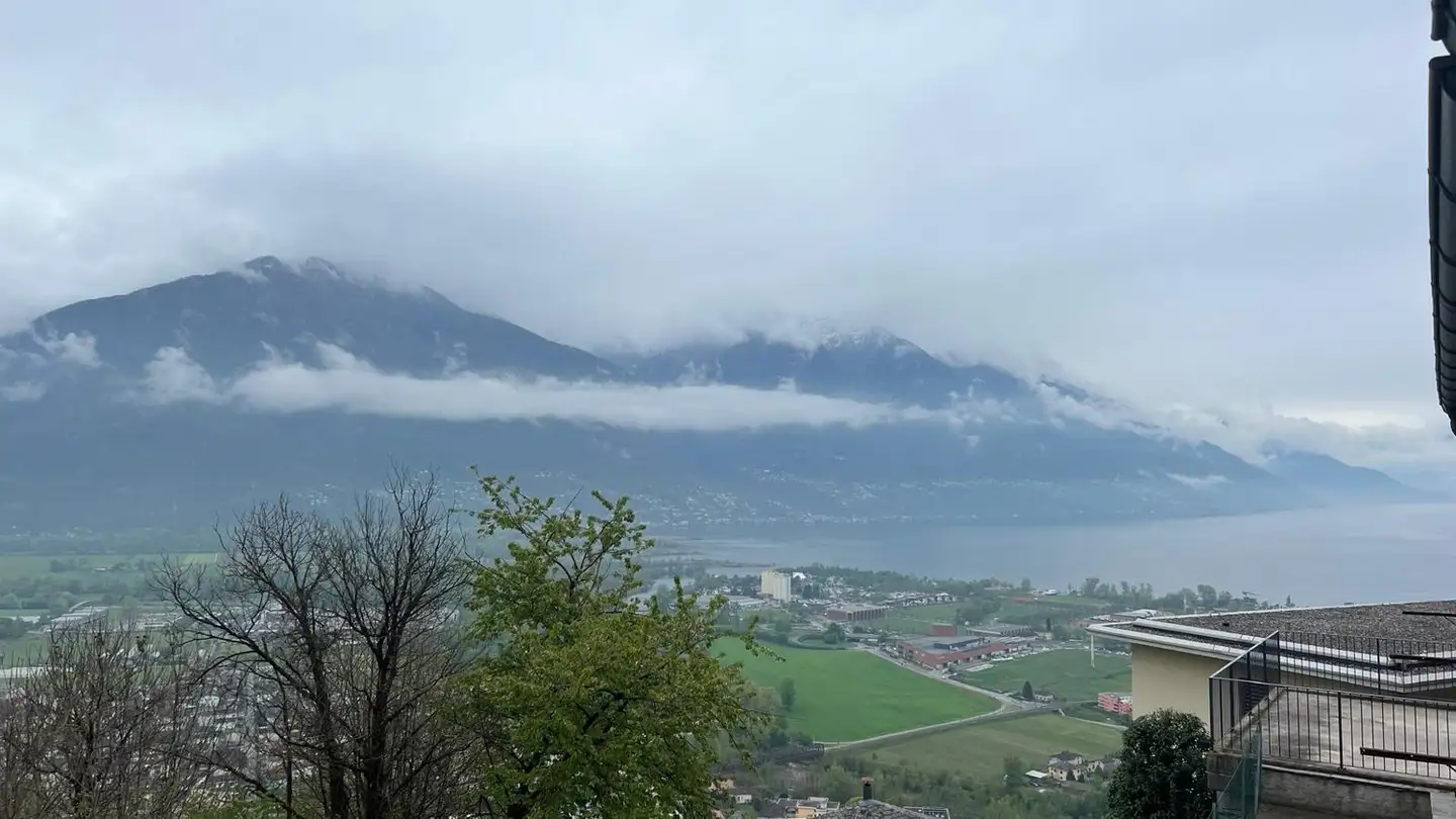 Fattoria in vendita - Via Sasso Misocco, 6596 Gordola - Photo 4