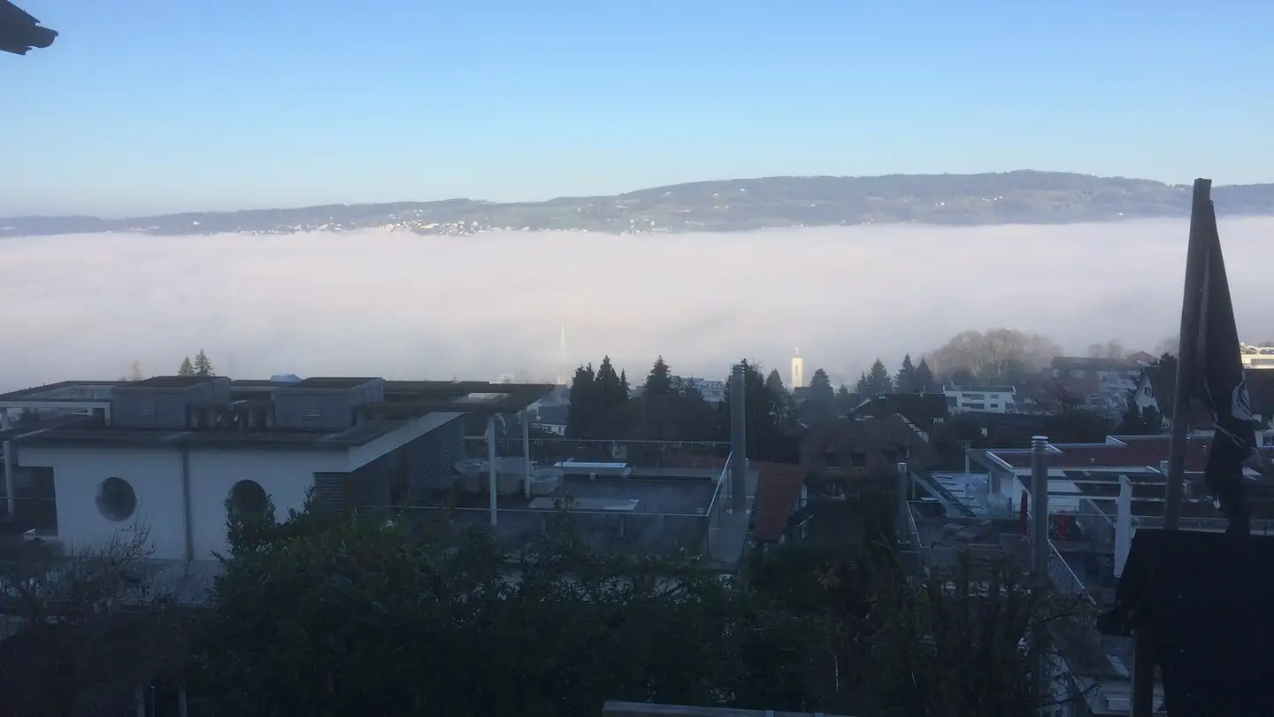 Single room for rent - 8810 Horgen - Photo 2