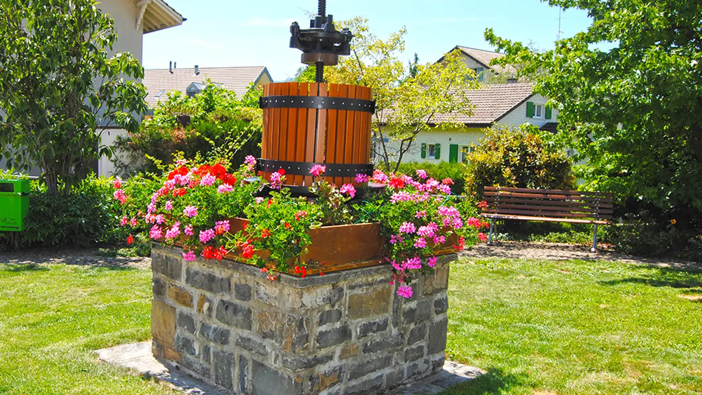 Villa à vendre - 1807 Blonay