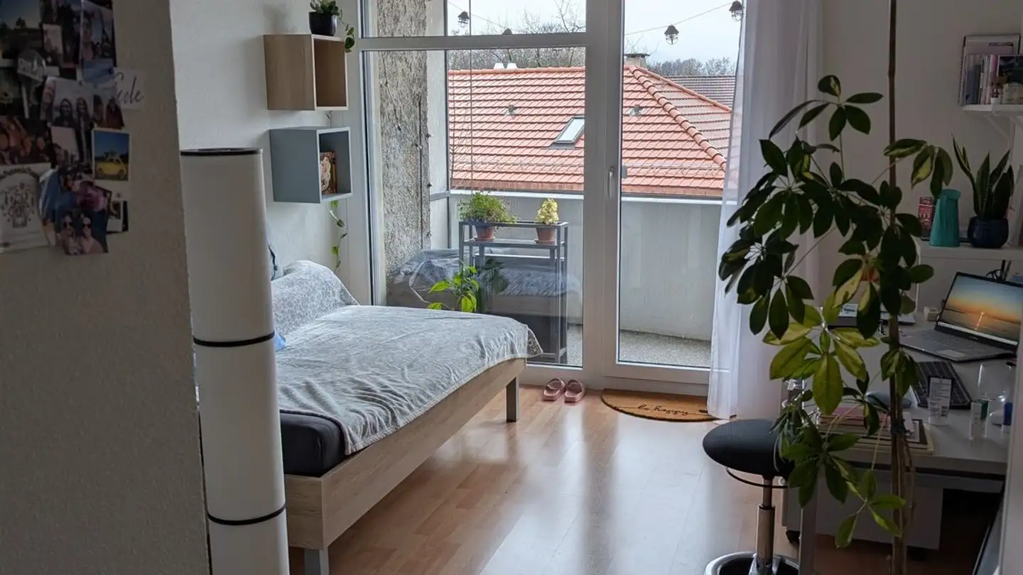 Appartamento in affitto - Freiburgstrasse 61, 3008 Bern