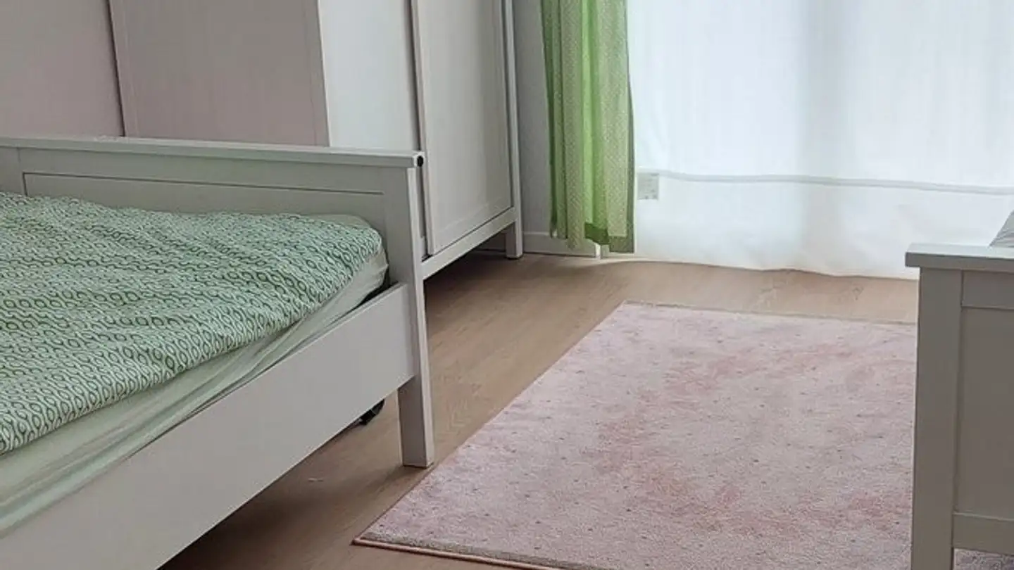 Appartamento in affitto - Seefeldstrasse, 8610 Uster - Foto 2