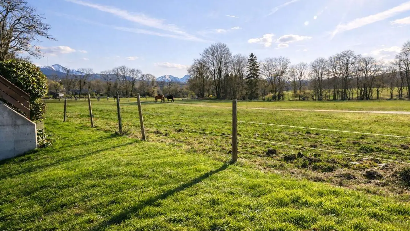 Appartamento in vendita - Chemin du Pré-du-Château 12, 1607 Palézieux-Village - Foto 3