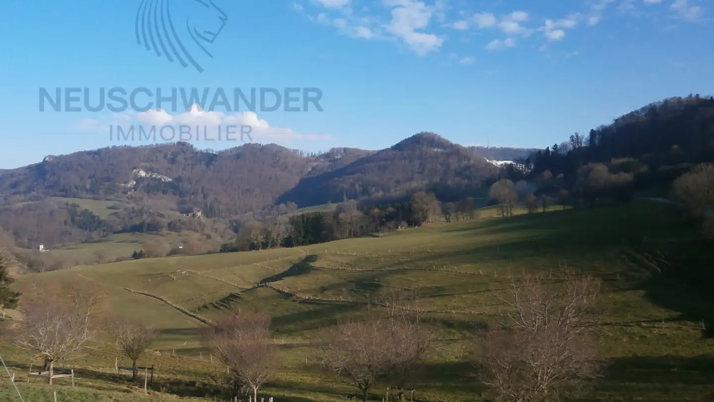 Casa singola in vendita - 2954 Asuel - Photo 2