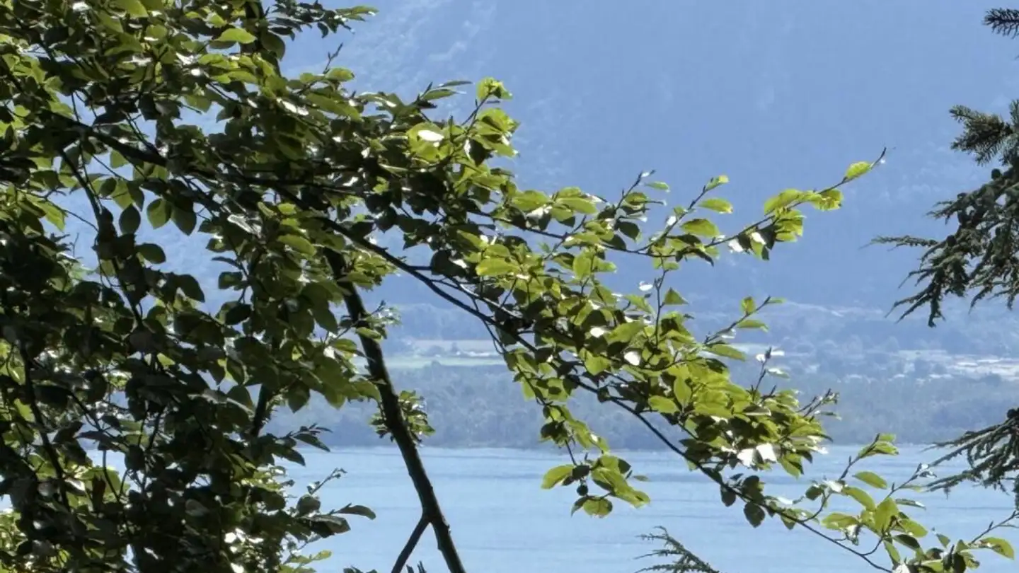 Terreno edificabile in vendita - 1807 Blonay - Foto 2