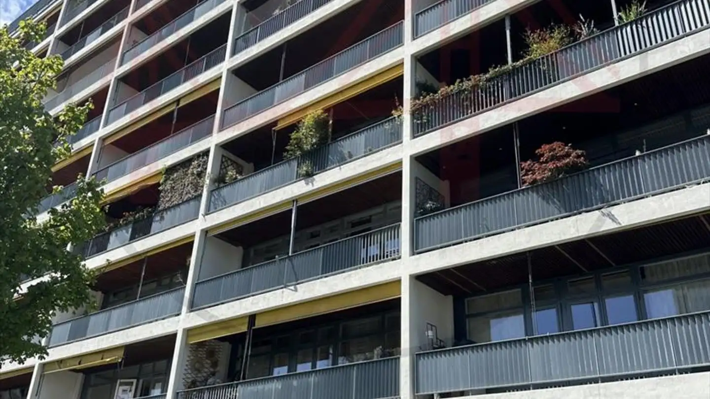 Wohnung kaufen - 1202 Genève