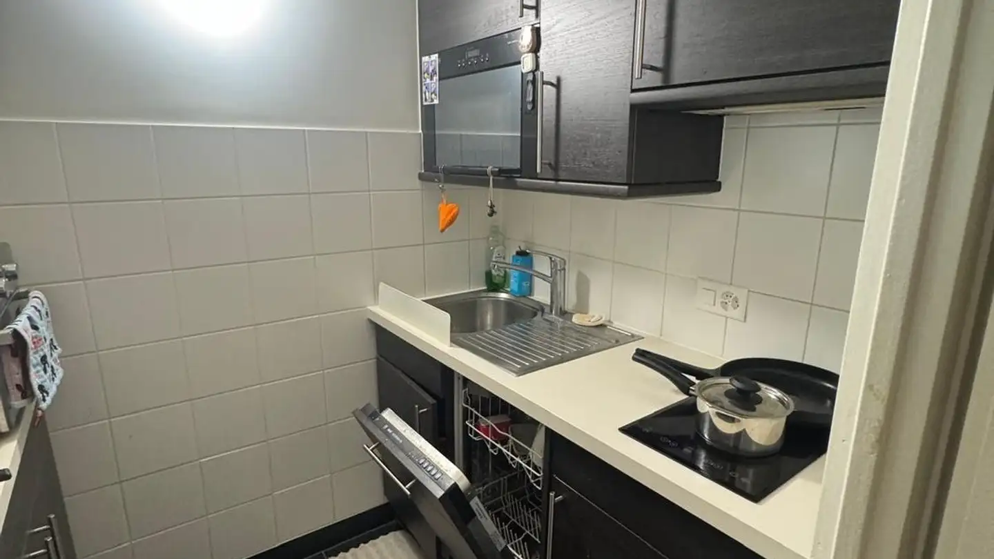 Appartamento in affitto - Avenue Théodore- Flournoy, 1207 Genève - Foto 4