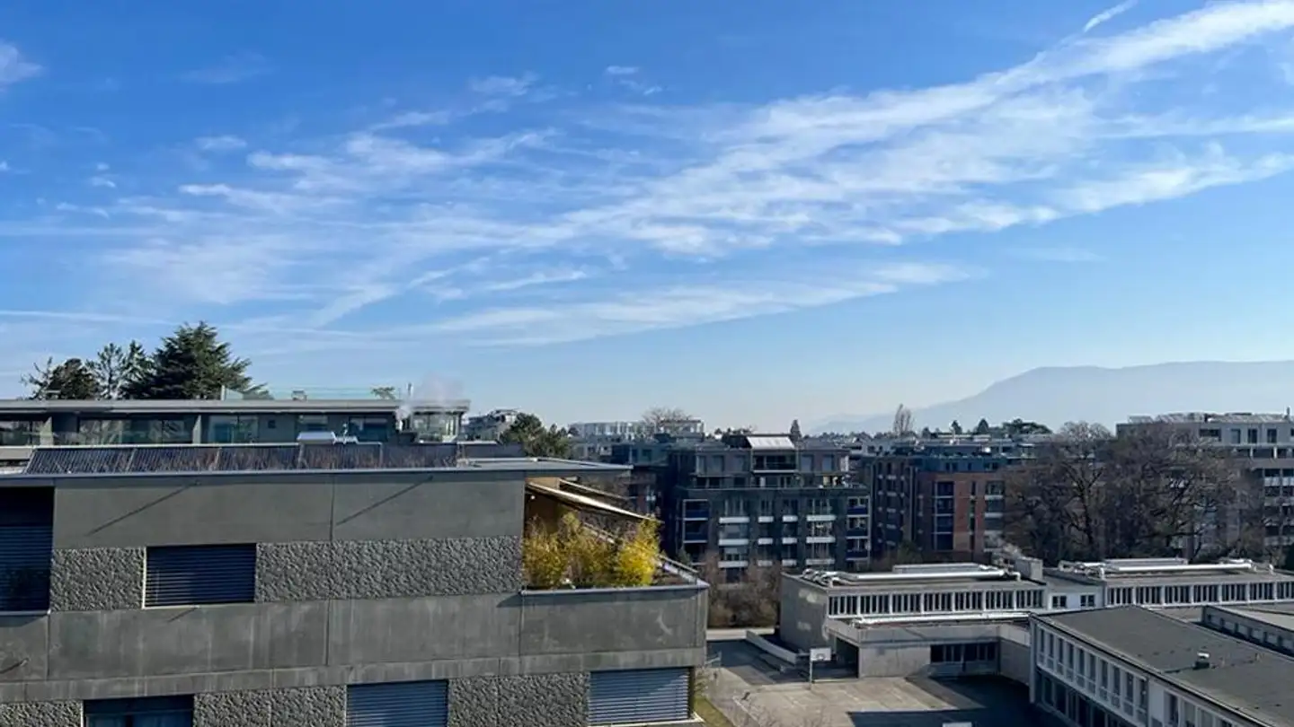 Duplex in affitto - Chemin Doctoresse- Champendal 8, 1206 Genève - Foto 4