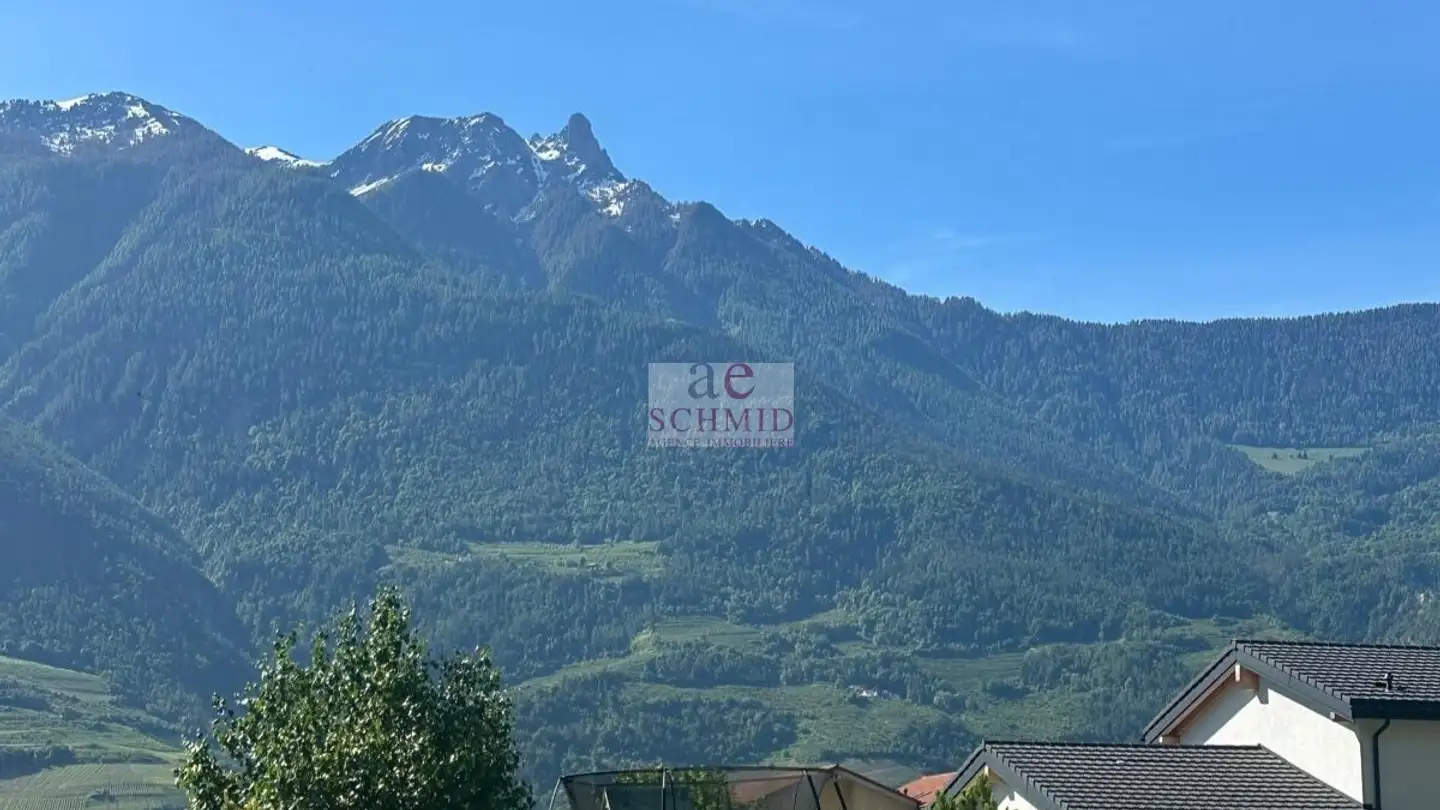 Single house for sale - Route Des Bains De Saillon, 1913 Saillon