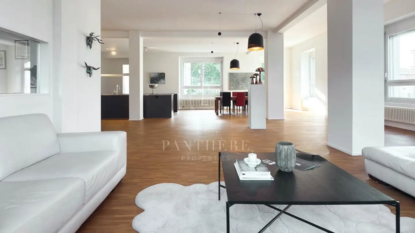 Loft kaufen - 8820 Wädenswil