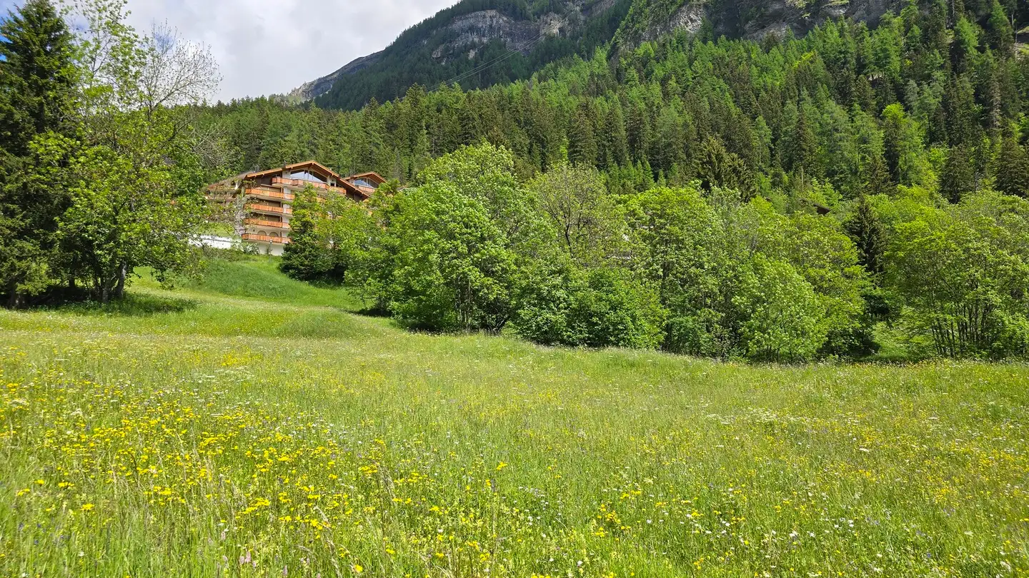 Terreno edificabile in vendita - 3954 Leukerbad - Foto 2