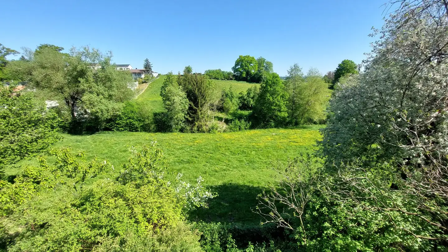 Apartment for rent - Schöneggweg 14, 3053 Münchenbuchsee
