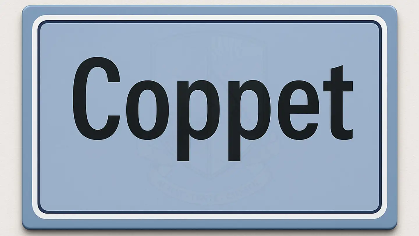 Shop for sale - 1296 Coppet