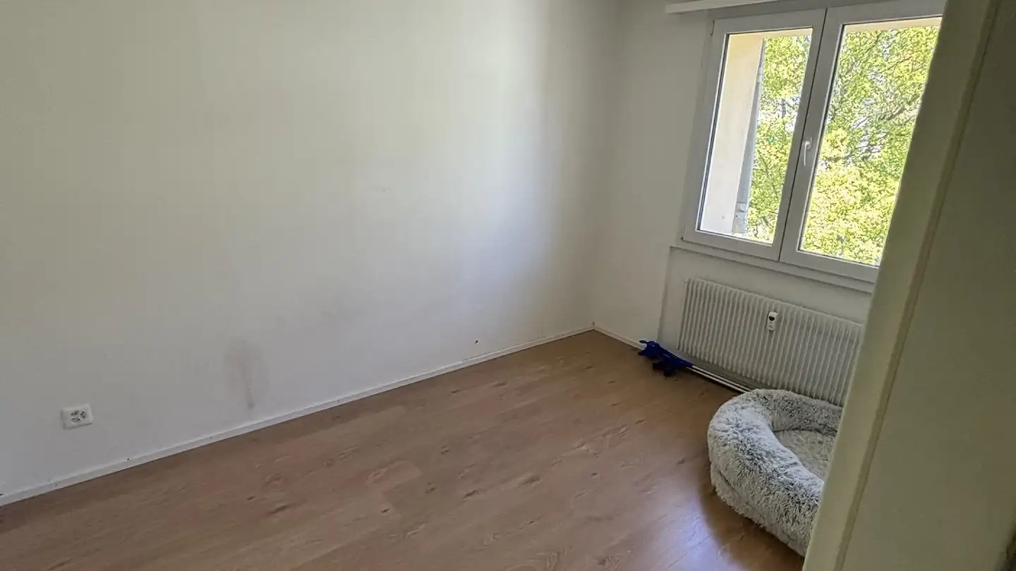 Appartamento in affitto - Hübeliweg 9a, 3052 Zollikofen