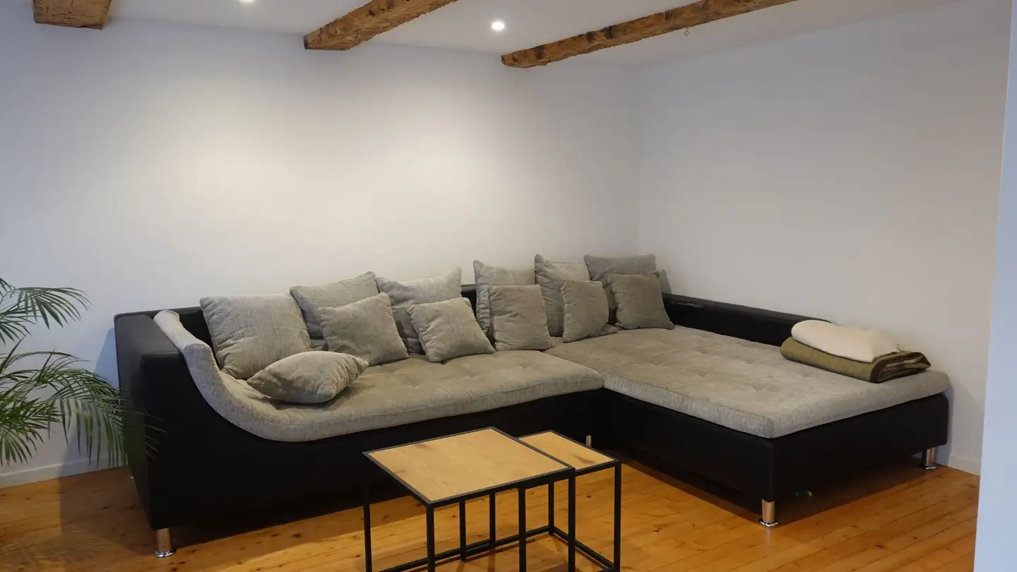 Casa singola in affitto - Uesslingerstrasse 14, 8548 Ellikon an der Thur - Foto 4