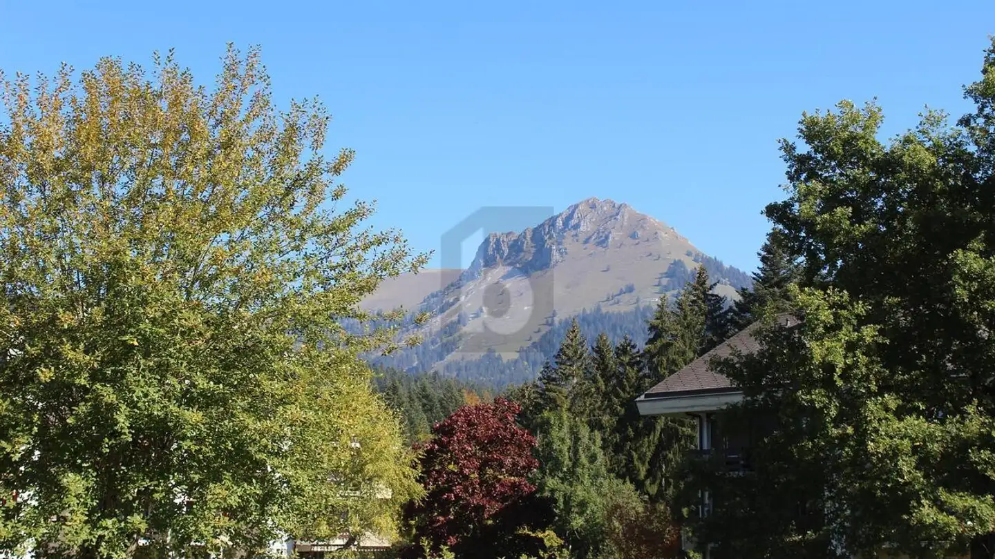 Hotel for sale - Route Des Paccots, 1619 Les Paccots - Photo 2