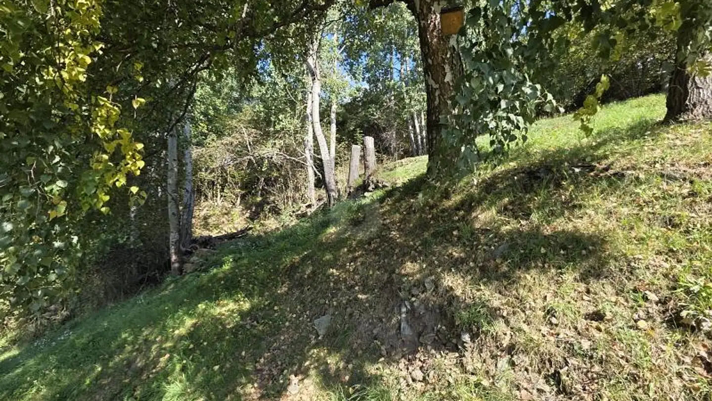 Terreno edificabile in vendita - 6760 Carì - Foto 4
