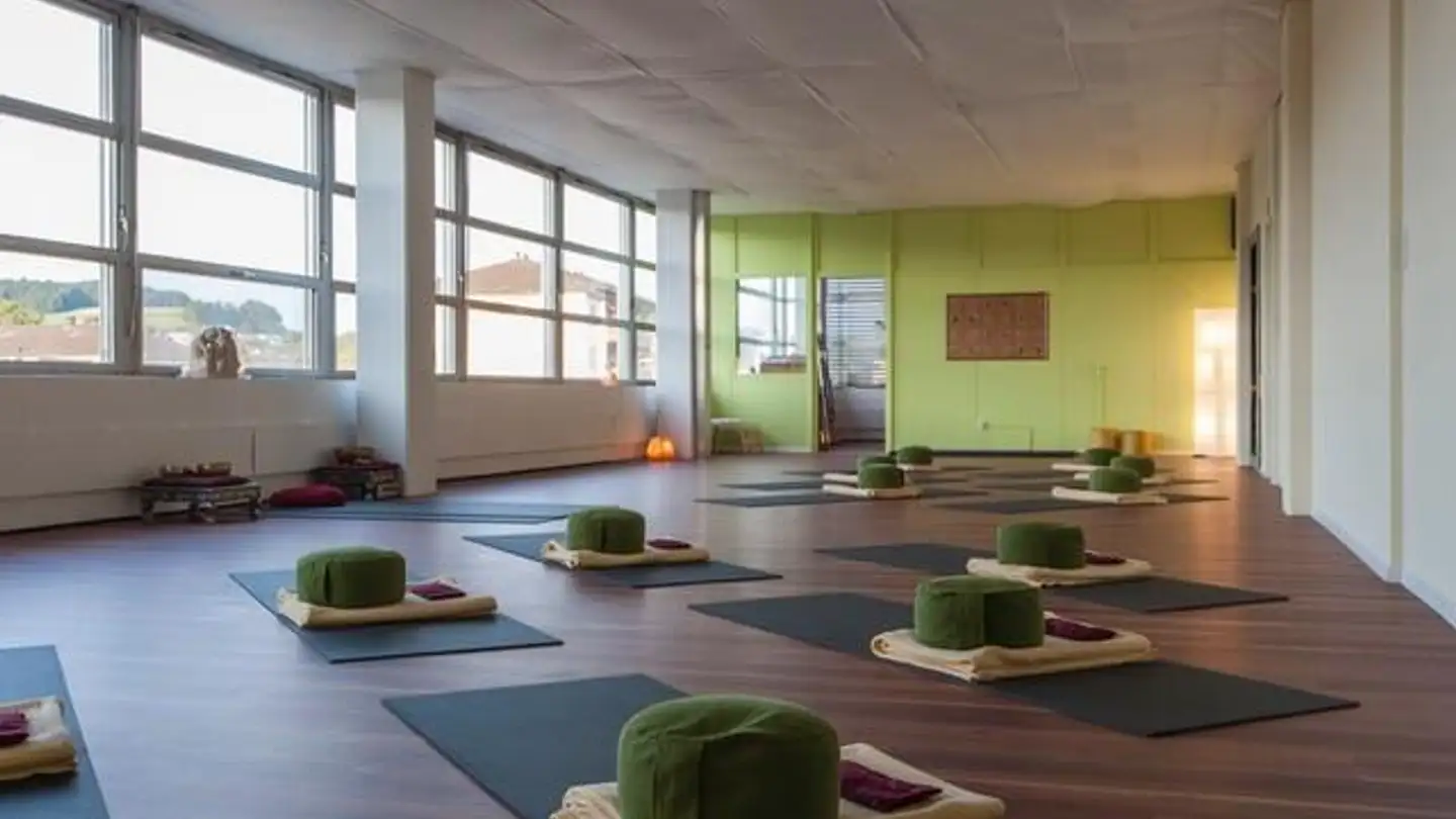 Commerciale in affitto - Rheinsfelderstrasse 43, 8193 Eglisau - Photo 3