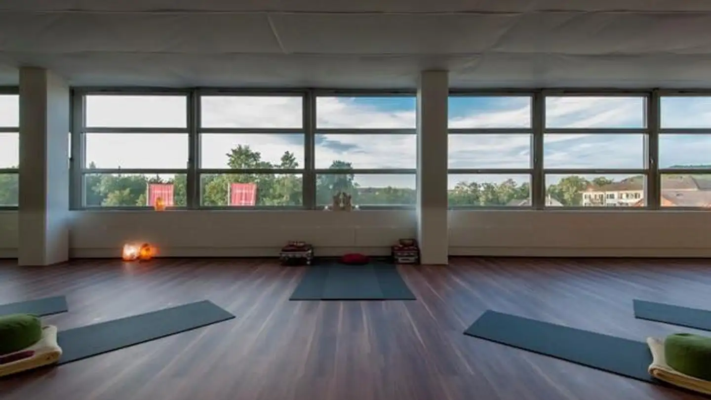 Commerciale in affitto - Rheinsfelderstrasse 43, 8193 Eglisau - Photo 4