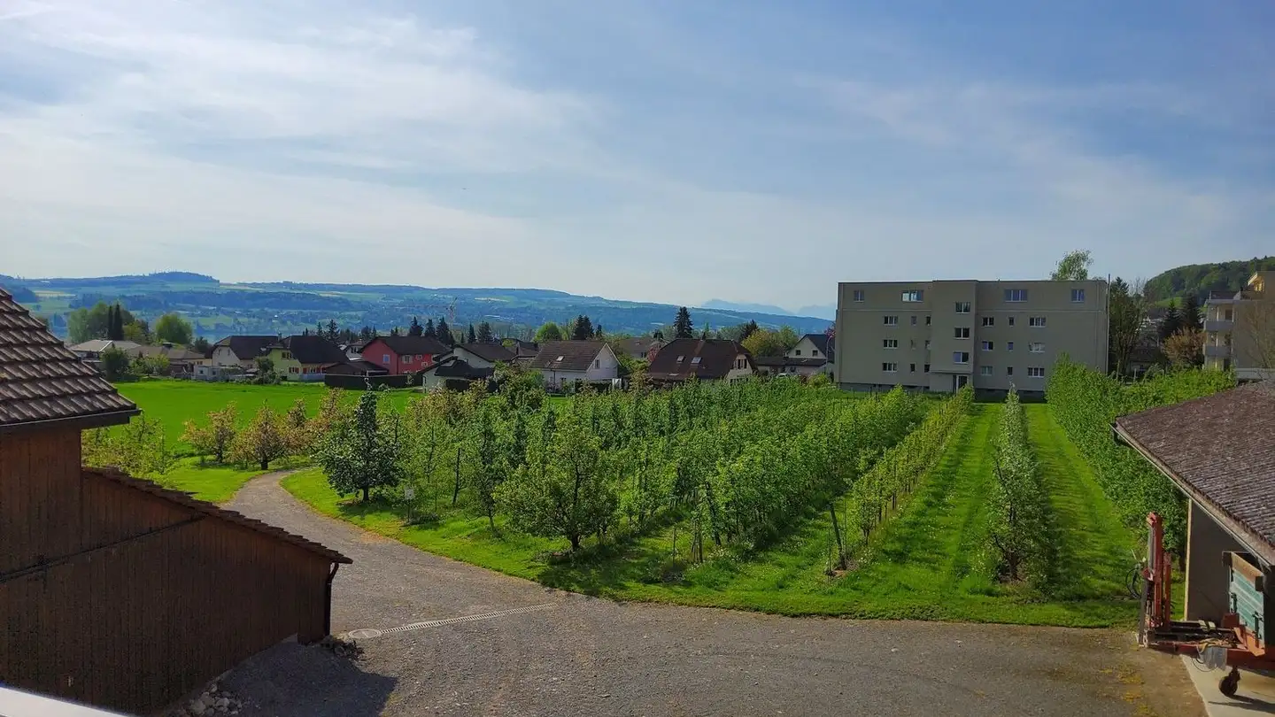 Wohnung mieten - Seengerstrasse 30, 5706 Boniswil