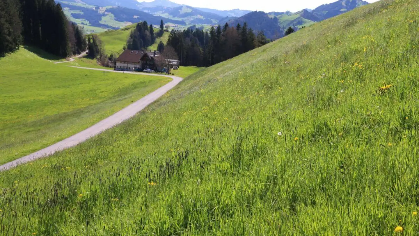 Bauland kaufen - Brenden, 9050 Appenzell Meistersrüte - Foto 4