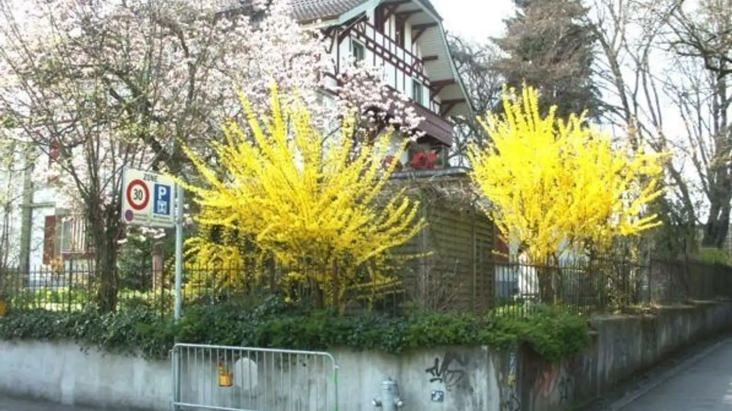 Appartamento ammobiliato in affitto - Neubrückstrasse 127, 3012 Bern