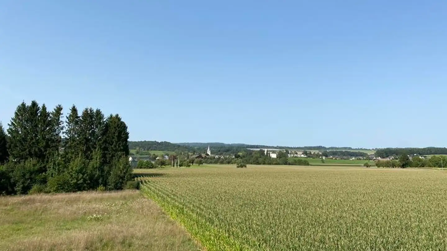 Doppelhaushälfte kaufen - Haslistrasse 50, 8555 Müllheim Dorf