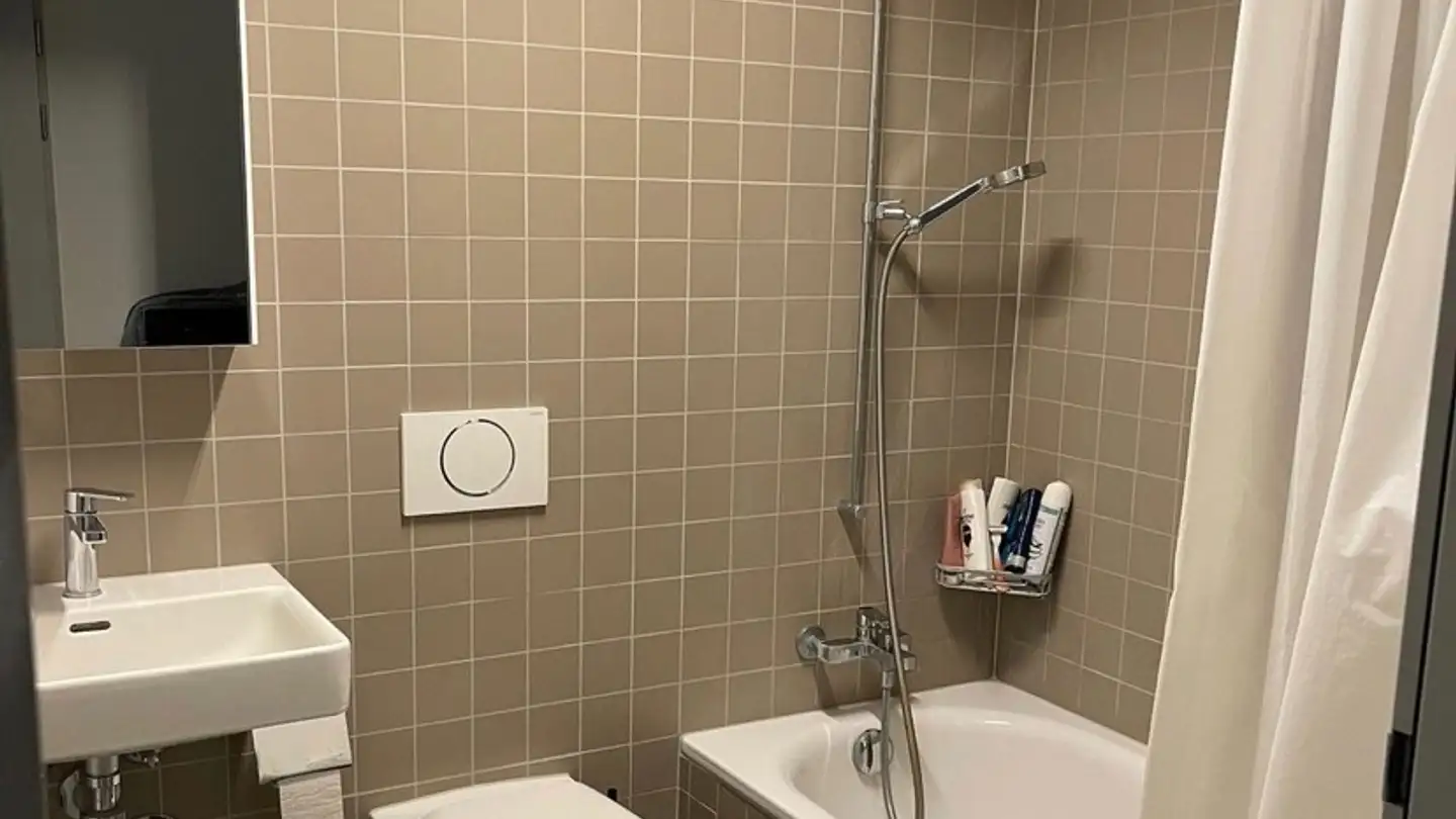 Furnished apartment for rent - Riedgarten, 8600 Dübendorf