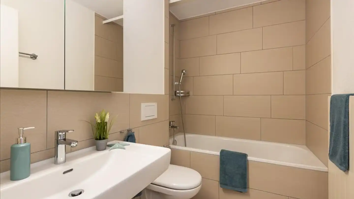 Appartamento in affitto - Langrietstrasse 20, 8212 Neuhausen am Rheinfall - Foto 4