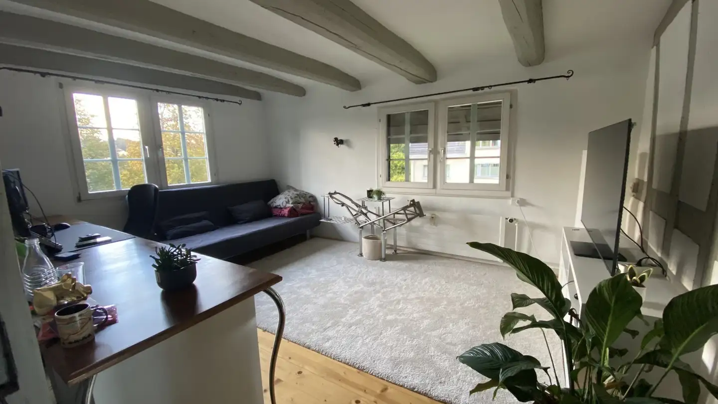 Apartment for rent - 8135 Langnau am Albis