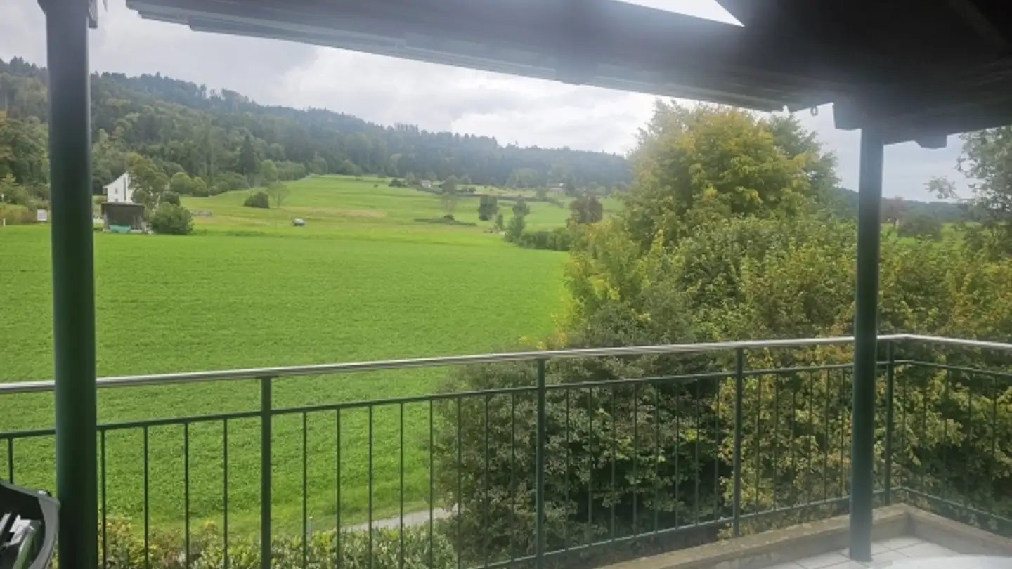 Appartamento in affitto - 8132 Egg b. Zürich - Photo 2