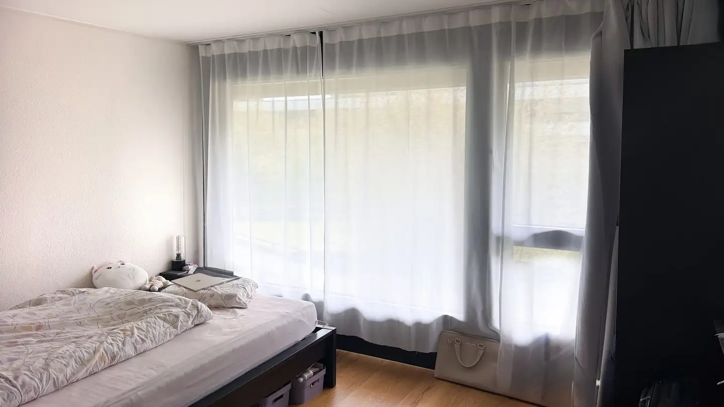 Furnished apartment for rent - Wiesenstrasse 14b, 8952 Schlieren - Photo 2