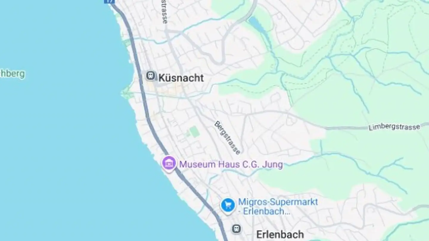 Einfamilienhaus kaufen - 8700 Küsnacht ZH