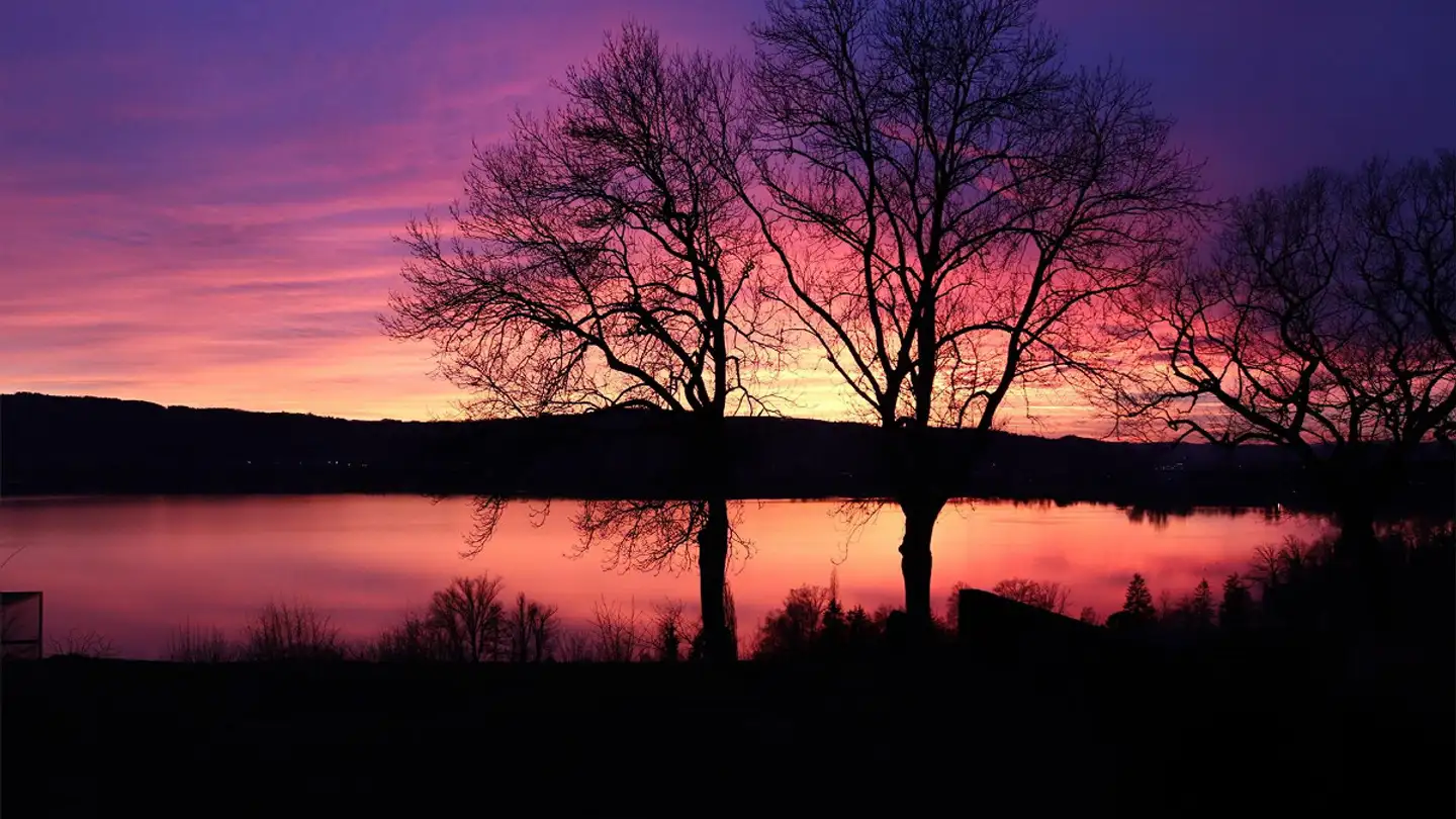 Casa singola in vendita - 6214 Schenkon - Photo 4