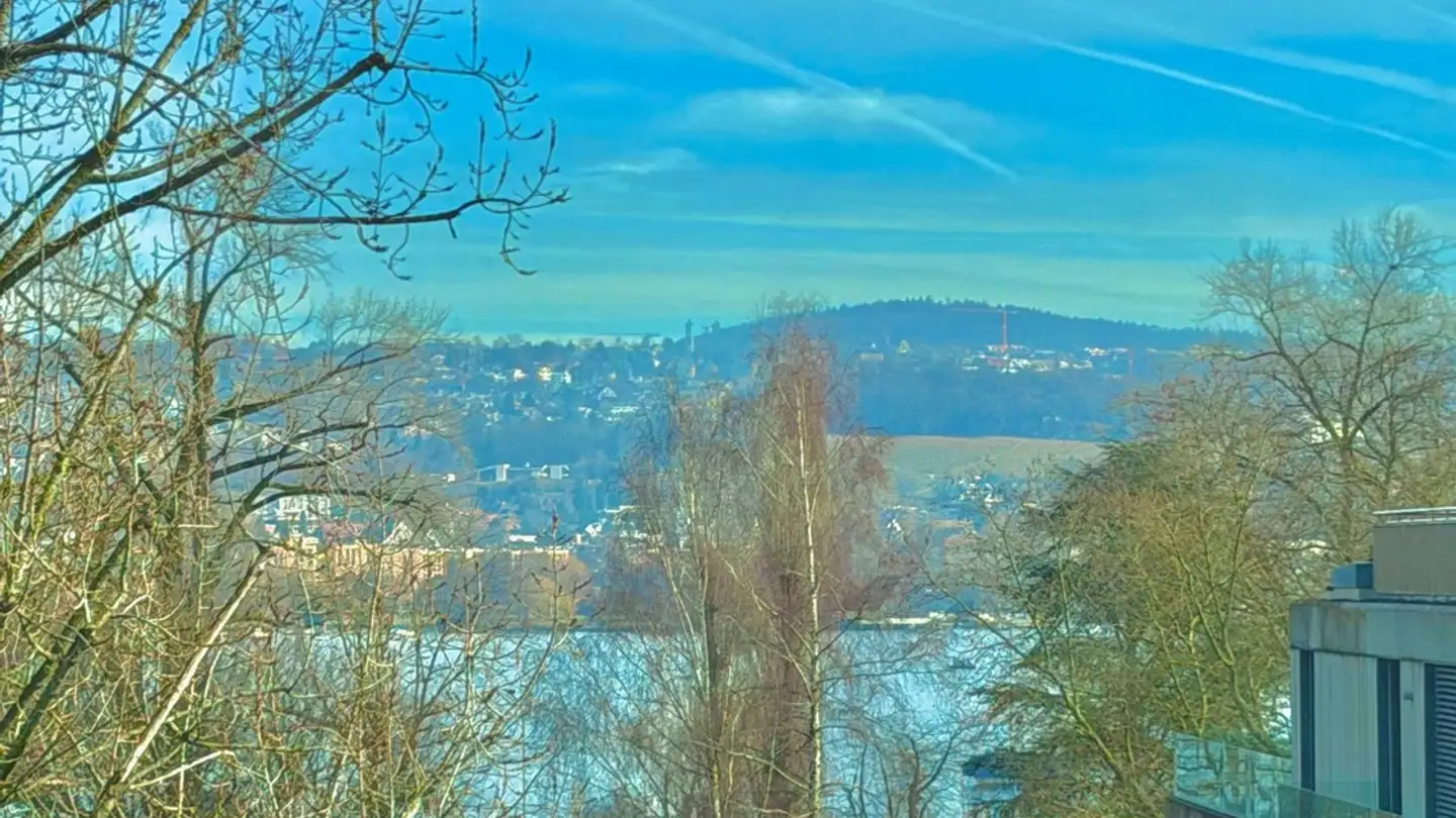 Single room for rent - Seestrasse 252, 8038 Zürich - Photo 3