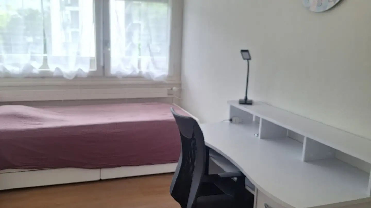 Single room for rent - Avenue Adrien- Jeandin, 1226 Thônex - Photo 3